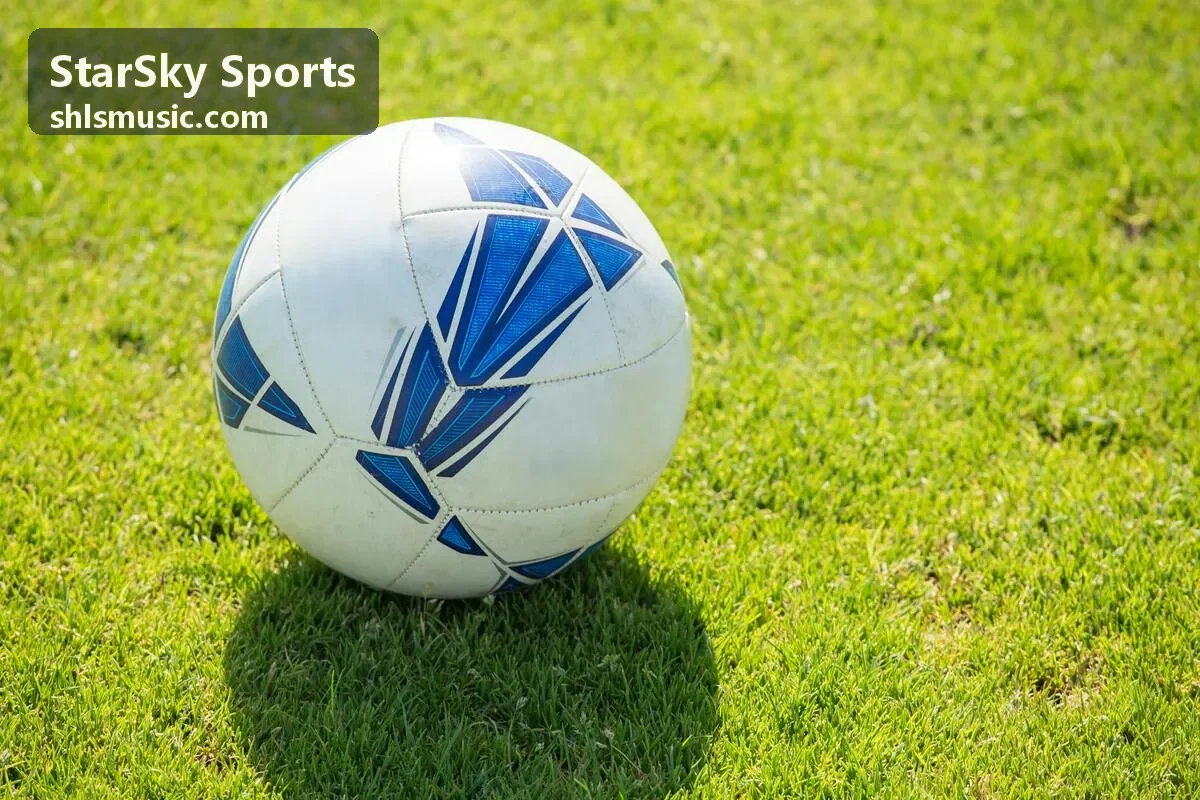 StarSky Sports 室内篮球与羽毛球场地，配备专业照明系统